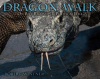 Dragon_Walk