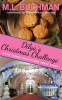 Dilya_s_Christmas_Challenge